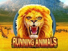 Running Animals