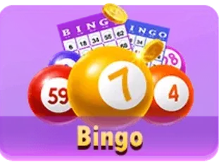 Bingo